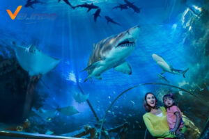 tempat wisata di malaysia aquaria klcc