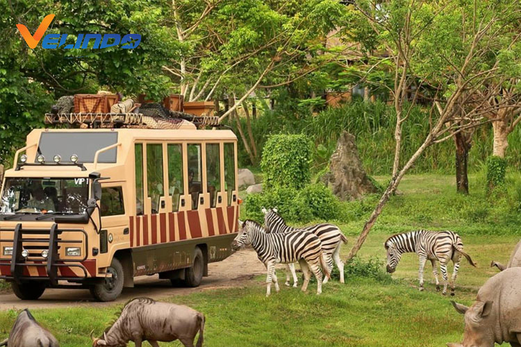 tempat wisata di bali hidden taman safari bali