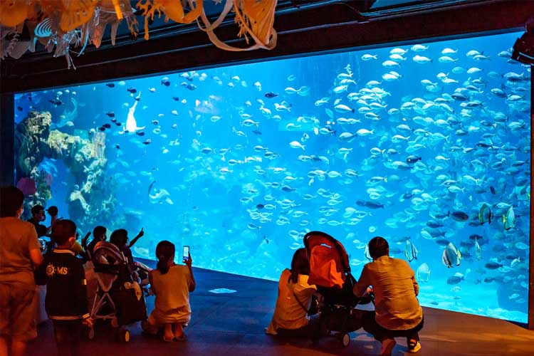 aquaria phuket tempat wisata di phuket
