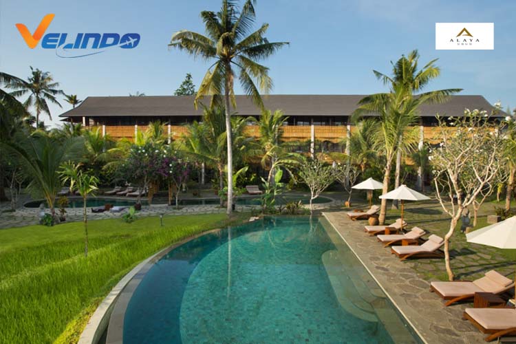 Alaya Resort Ubud, rekomendasi hotel murah di bali