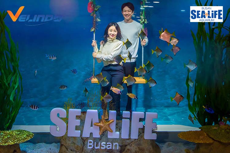 SEA Life Busan Aquarium foto