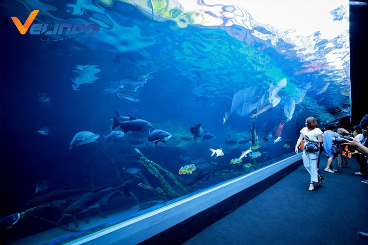 aquaria phuket